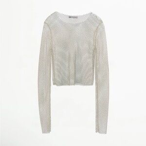 Zara Shimmer Mesh Long Sleeve Top